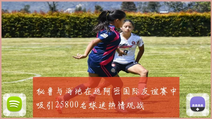 秘鲁与海地在迈阿密国际友谊赛中吸引25800名球迷热情观战